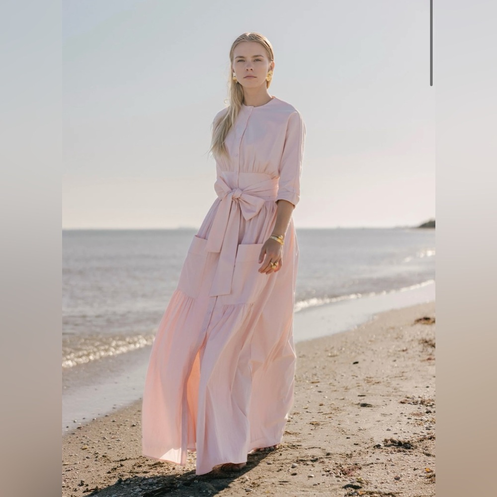 Aleeza Paris Pink Maxi Dress